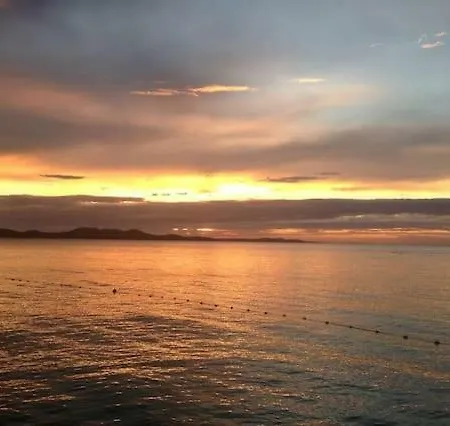 Roza * Zadar